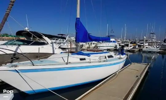 27  feet of fun in the summer sun, under sail!