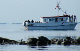Fishing Charter On 45ft ''Seadog'' Trawler In Læsø, Denmark