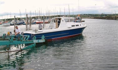 Cartas de pesca em Amble, Inglaterra