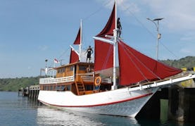 Phinisi Boat for 8 People in Komodo for minimum of 2 days or week - Crewed Charter!