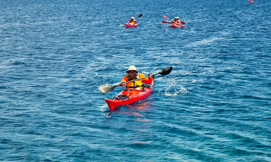 Guided Sea Kayak Adventure and Rental at Thousand Islands, Ontario