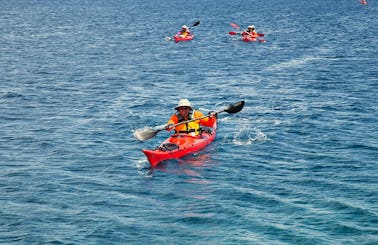 Guided Sea Kayak Adventure and Rental at Thousand Islands, Ontario