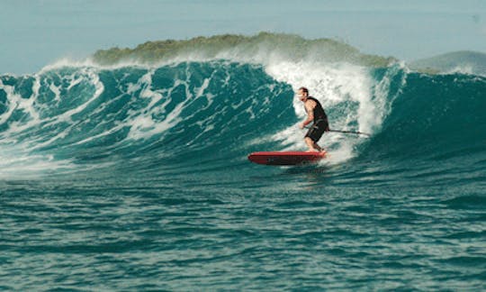 Enjoy Stand Up Paddleboard Rentals in Cruz Bay, St. John