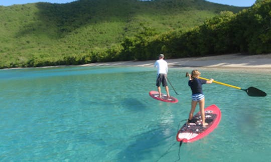 Enjoy Stand Up Paddleboard Rentals in Cruz Bay, St. John