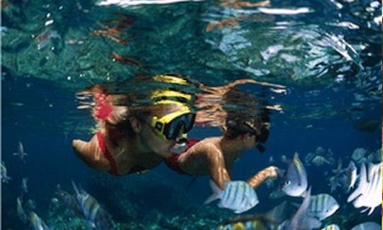 Enjoy Snorkeling Tours in Cruz Bay, St. John