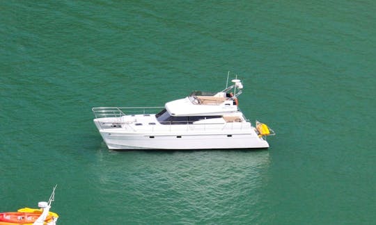 Enjoy Kaiteriteri, Tasman on 45' Power Catamaran