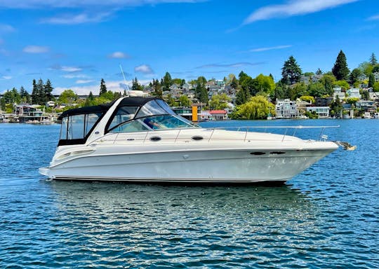 37' Sea Ray (KMB#14) - Affordable Yacht for 12!