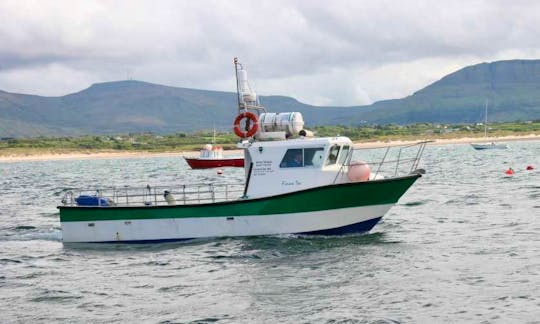 Enjoy Inishmurray Island, County Sligo on MV Fiona Tee Trawler