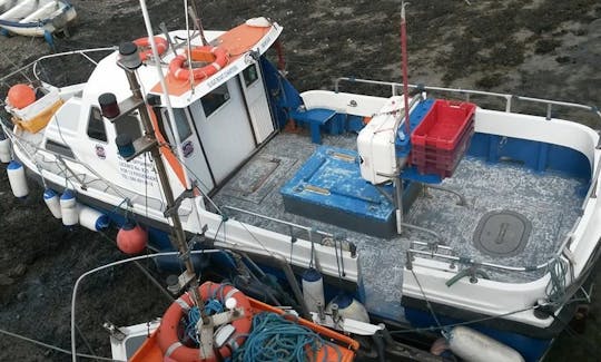 Enjoy Fishing in Sligo, Ireland on 33' Trawler