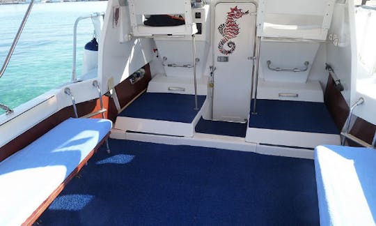 Charter 33' Cuddy Cabin in San Vito Lo Capo, Italy