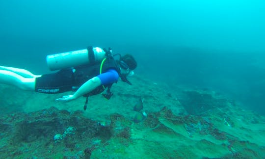 Enjoy Diving Trips & Courses in Wimalananda Mw, Mirissa