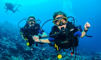 Enjoy Diving Trips and Courses in Rapallo, Liguria