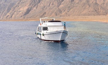 Enjoy Diving Trips & Courses in Dahab, Egypt