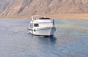 Enjoy Diving Trips & Courses in Dahab, Egypt