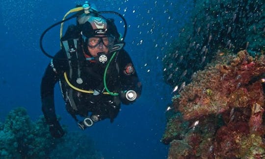 Enjoy Diving Trips & Courses in Dahab, Egypt