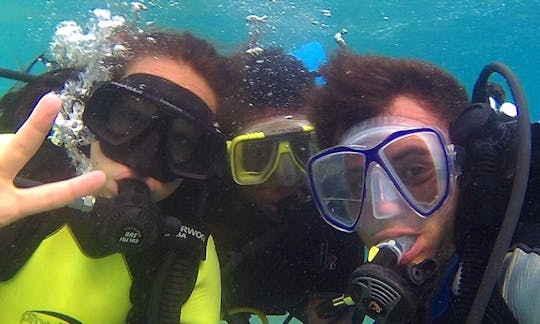 Enjoy Diving Trips & Courses in Dahab, Egypt