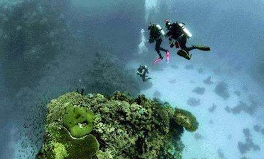 Enjoy Diving Tours & Lessons in Selimiye, Turkey