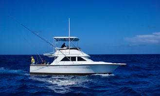 Charter 35ft  Phoenix Yacht for deep sea fishing in Punta Cana, Dominican Republic