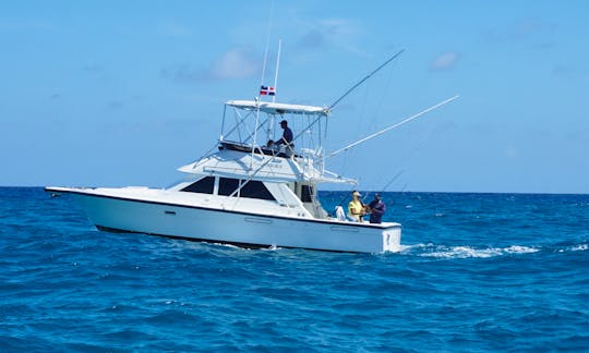 marlin fever offshore fishing punta cana