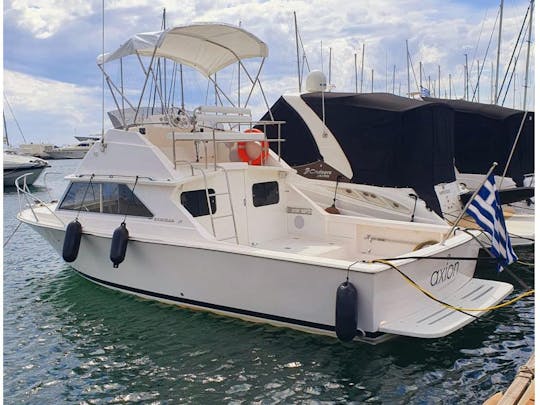 Bertram 28′ 1985/9m — 2 x 230 HP Yanmar