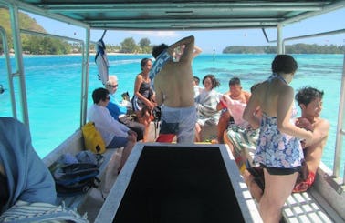 Glass Bottom Boat Excursions in Moorea with Captain Taina