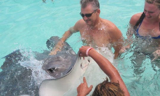 Lagoon Wildlife Adventure & Lunch on Private Islet