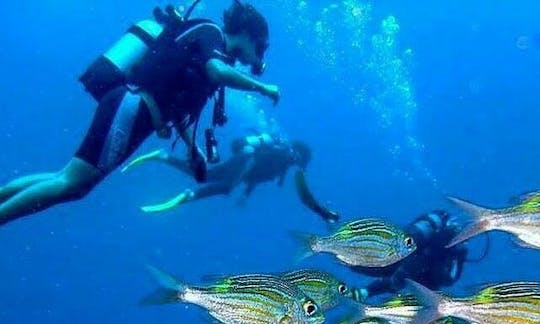 Profitez de voyages et de cours de plongée à Tamarin, à l'île Maurice