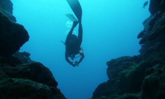 Profitez de voyages et de cours de plongée à Tamarin, à l'île Maurice