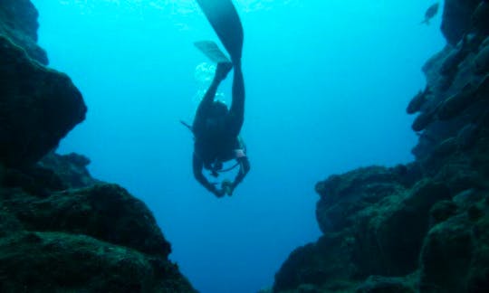 Enjoy Diving Trips & Courses in Tamarin, Mauritius