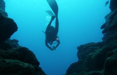 Enjoy Diving Trips & Courses in Tamarin, Mauritius