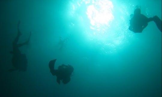 Profitez de voyages et de cours de plongée à Tamarin, à l'île Maurice