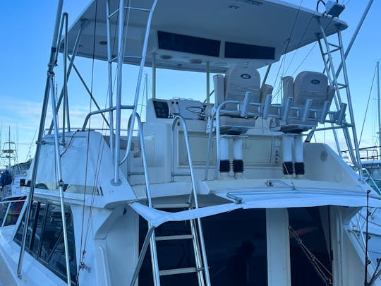Fishing Adventures Aboard Our Fully-Renovated 48-Foot Viking Sport fisher