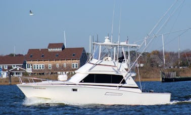 Charter 38' Bertram Motor Yacht In Manasquan, New Jersey