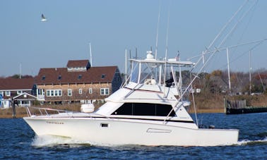 Louez un yacht à moteur Bertram de 38 pieds à Manasquan, dans le New Jersey