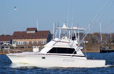 Charter 38' Bertram Motor Yacht In Manasquan, New Jersey