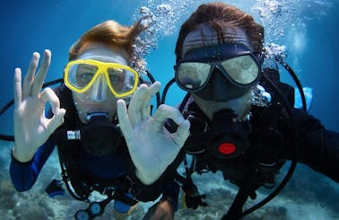 Diving Adventure in Javea, Spain