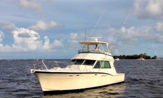Enjoy Islamorada, Florida on 46' Hatteras Sport Fisherman