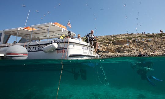 Enjoy Diving Trips and Lessons in Mellieħa, Malta