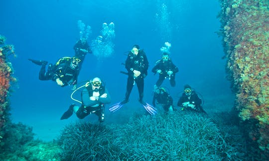 Enjoy Diving Trips and Lessons in Mellieħa, Malta