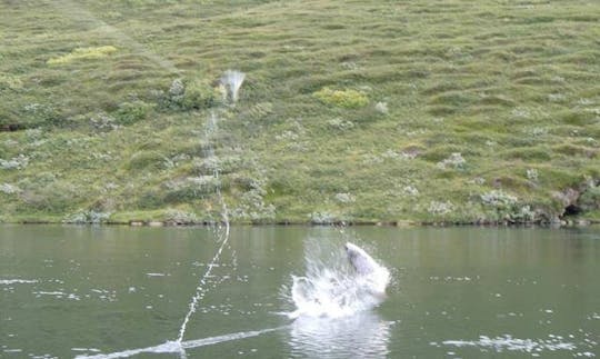 Desfrute de viagens de pesca com mosca em Keflavík, Islândia