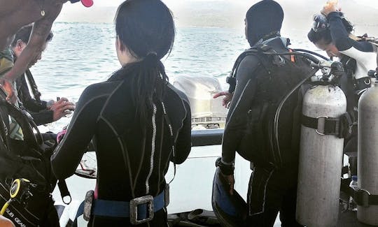 Enjoy Diving Trips & Courses in Denpasar, Bali