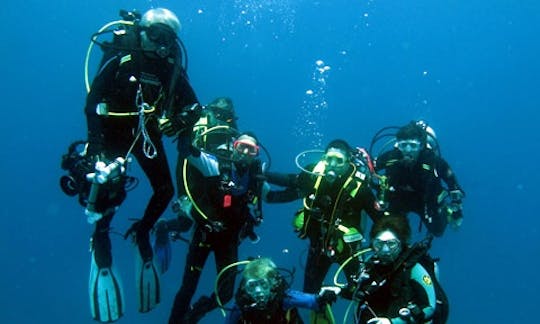 Enjoy Diving Trips & Courses in Denpasar, Bali