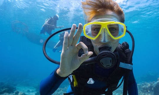 Enjoy Diving Trips & Courses in Denpasar, Bali