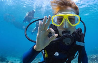 Enjoy Diving Trips & Courses in Denpasar, Bali