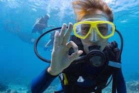 Enjoy Diving Trips & Courses in Denpasar, Bali