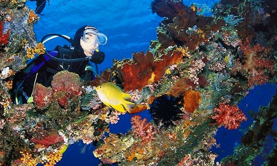 Enjoy Diving Courses and Trips in Bali, Indonesia