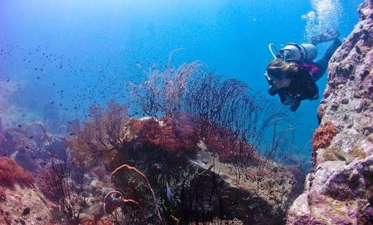 タンボンコクット、チャンワットトラートでダイビングツアーとコースをお楽しみください