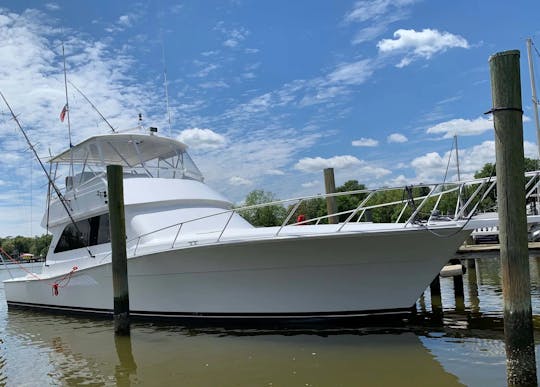 50′ VIKING - Votre expérience en charter vous attend ! 