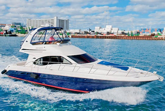 New 48ft SeaRay Motor Yacht in Miami Beach!