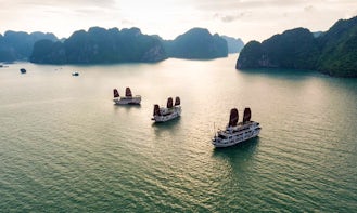 Halong Bay Private Overnight Boat cruise